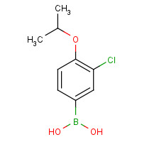480438-56-0 3-CHLORO-4-ISOPROPOXYPHENYLBORONIC ACID chemical structure