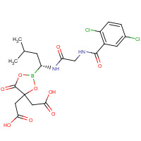 1239908-20-3 2-[4-(carboxymethyl)-2-[(1R)-1-[[2-[(2,5-dichlorobenzoyl)amino]acetyl]amino]-3-methylbutyl]-5-oxo-1,3,2-dioxaborolan-4-yl]acetic acid chemical structure