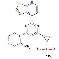 1352226-88-0 imino-methyl-[(1R)-2-[6-[(3R)-3-methylmorpholin-4-yl]-2-(1H-pyrrolo[2,3-b]pyridin-4-yl)pyrimidin-4-yl]cyclopropyl]-oxo-$l^{6}-sulfane chemical structure