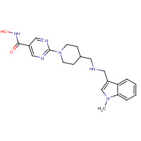 875320-29-9 N-hydroxy-2-[4-[[(1-methylindol-3-yl)methylamino]methyl]piperidin-1-yl]pyrimidine-5-carboxamide chemical structure