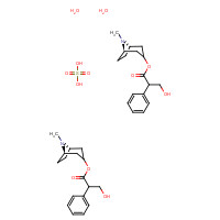 73791-47-6 [(1R,5S)-8-methyl-8-azabicyclo[3.2.1]octan-3-yl] 3-hydroxy-2-phenylpropanoate;sulfuric acid;dihydrate chemical structure