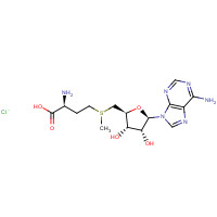 24346-00-7 S-(5'-Adenosyl)-L-Methionine Chloride chemical structure