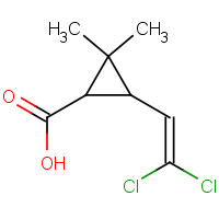 55701-05-8 3-(2,2-dichloroethenyl)-2,2-dimethylcyclopropane-1-carboxylic acid chemical structure