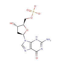 52558-16-4 [(2R,3S,5R)-5-(2-amino-6-oxo-3H-purin-9-yl)-3-hydroxyoxolan-2-yl]methyl phosphate chemical structure