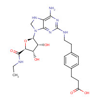 120225-54-9 3-[4-[2-[[6-amino-9-[(2R,3R,4S,5S)-5-(ethylcarbamoyl)-3,4-dihydroxyoxolan-2-yl]purin-2-yl]amino]ethyl]phenyl]propanoic acid chemical structure
