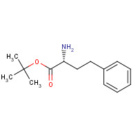 740055-30-5 tert-butyl (2R)-2-amino-4-phenylbutanoate chemical structure