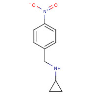 892579-09-8 N-CYCLOPROPYL-4-NITROBENZYLAMINE chemical structure