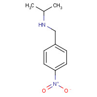 202934-58-5 N-ISOPROPYL-4-NITROBENZYLAMINE chemical structure