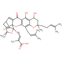 93772-31-7 Neogambogic acid chemical structure