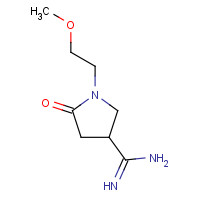 1273387-43-1 1-(2-methoxyethyl)-5-oxopyrrolidine-3-carboximidamide chemical structure