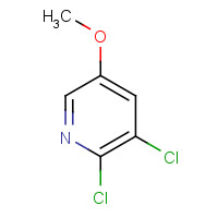 885168-12-7 2,3-dichloro-5-methoxypyridine chemical structure