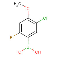 1072952-18-1 (5-chloro-2-fluoro-4-methoxyphenyl)boronic acid chemical structure