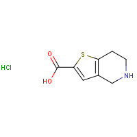 116118-99-1 4,5,6,7-tetrahydrothieno[3,2-c]pyridine-2-carboxylic acid;hydrochloride chemical structure