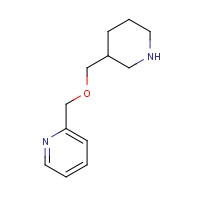 933702-23-9 2-(piperidin-3-ylmethoxymethyl)pyridine chemical structure