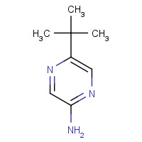 59489-38-2 5-tert-butylpyrazin-2-amine chemical structure