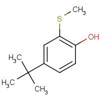64096-97-5 4-tert-butyl-2-methylsulfanylphenol chemical structure