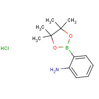 393877-09-3 2-(4,4,5,5-tetramethyl-1,3,2-dioxaborolan-2-yl)aniline;hydrochloride chemical structure