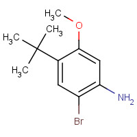 1257834-30-2 2-bromo-4-tert-butyl-5-methoxyaniline chemical structure