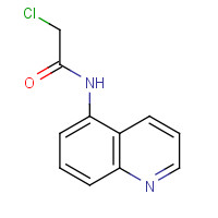 121221-08-7 2-chloro-N-quinolin-5-ylacetamide chemical structure