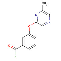 921938-93-4 3-(6-methylpyrazin-2-yl)oxybenzoyl chloride chemical structure