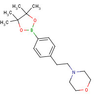 364794-81-0 4-[2-[4-(4,4,5,5-tetramethyl-1,3,2-dioxaborolan-2-yl)phenyl]ethyl]morpholine chemical structure