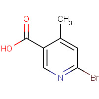 1060804-74-1 6-bromo-4-methylpyridine-3-carboxylic acid chemical structure