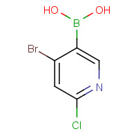 957062-85-0 (4-bromo-6-chloropyridin-3-yl)boronic acid chemical structure