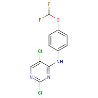 1341200-83-6 2,5-dichloro-N-[4-(difluoromethoxy)phenyl]pyrimidin-4-amine chemical structure