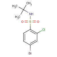 1169483-92-4 4-bromo-N-tert-butyl-2-chlorobenzenesulfonamide chemical structure