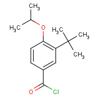 142651-37-4 3-tert-butyl-4-propan-2-yloxybenzoyl chloride chemical structure