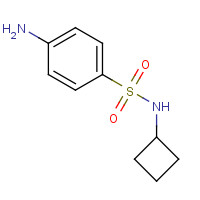 477723-16-3 4-amino-N-cyclobutylbenzenesulfonamide chemical structure