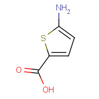 204068-72-4 5-aminothiophene-2-carboxylic acid chemical structure