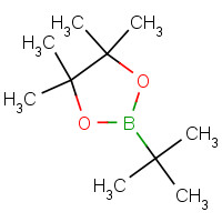 99810-76-1 2-tert-butyl-4,4,5,5-tetramethyl-1,3,2-dioxaborolane chemical structure