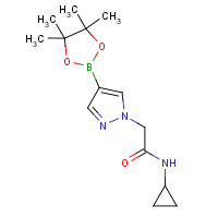 1356541-72-4 N-cyclopropyl-2-[4-(4,4,5,5-tetramethyl-1,3,2-dioxaborolan-2-yl)pyrazol-1-yl]acetamide chemical structure