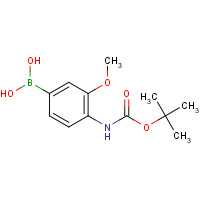 669713-95-5 [3-methoxy-4-[(2-methylpropan-2-yl)oxycarbonylamino]phenyl]boronic acid chemical structure