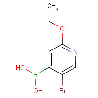 612845-46-2 (5-bromo-2-ethoxypyridin-4-yl)boronic acid chemical structure