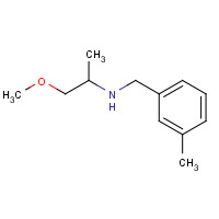 356092-84-7 1-methoxy-N-[(3-methylphenyl)methyl]propan-2-amine chemical structure