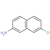 90799-47-6 7-chloronaphthalen-2-amine chemical structure