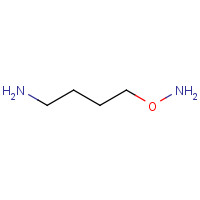 69182-55-4 O-(4-aminobutyl)hydroxylamine chemical structure