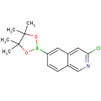 1509899-50-6 3-chloro-6-(4,4,5,5-tetramethyl-1,3,2-dioxaborolan-2-yl)isoquinoline chemical structure