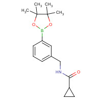 919347-88-9 N-[[3-(4,4,5,5-tetramethyl-1,3,2-dioxaborolan-2-yl)phenyl]methyl]cyclopropanecarboxamide chemical structure