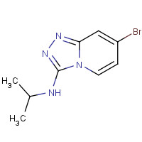 1019918-66-1 7-bromo-N-propan-2-yl-[1,2,4]triazolo[4,3-a]pyridin-3-amine chemical structure
