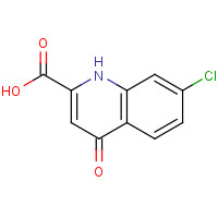 18000-24-3 7-chloro-4-oxo-1H-quinoline-2-carboxylic acid chemical structure