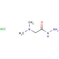 539-64-0 2-(dimethylamino)acetohydrazide;hydrochloride chemical structure