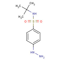 184708-11-0 N-tert-butyl-4-hydrazinylbenzenesulfonamide chemical structure