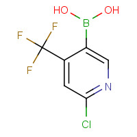 1217500-87-2 [6-chloro-4-(trifluoromethyl)pyridin-3-yl]boronic acid chemical structure