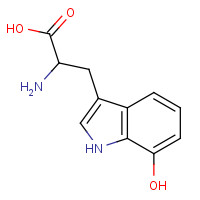 52899-02-2 2-amino-3-(7-hydroxy-1H-indol-3-yl)propanoic acid chemical structure