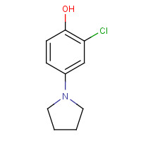 1011-35-4 2-chloro-4-pyrrolidin-1-ylphenol chemical structure