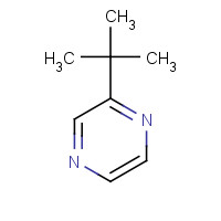 32741-11-0 2-tert-butylpyrazine chemical structure
