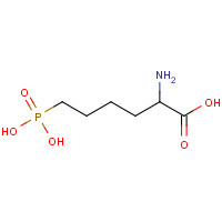 78944-89-5 2-amino-6-phosphonohexanoic acid chemical structure